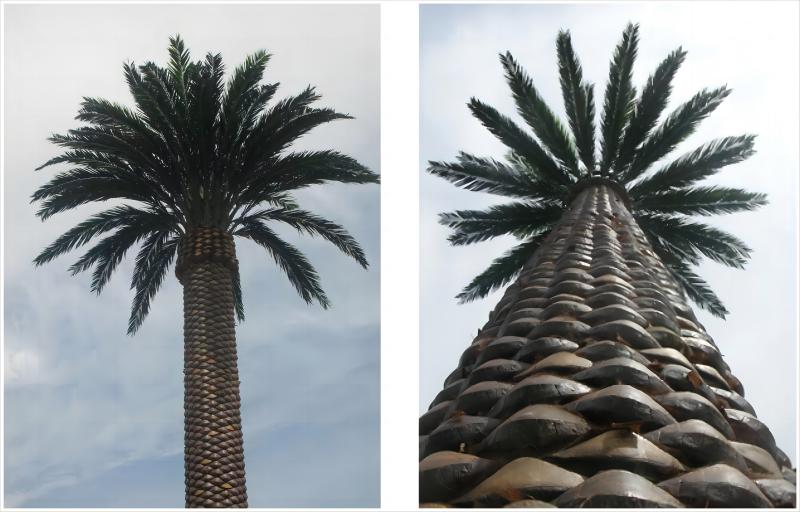 bionic camouflaged palm tree telecom tower