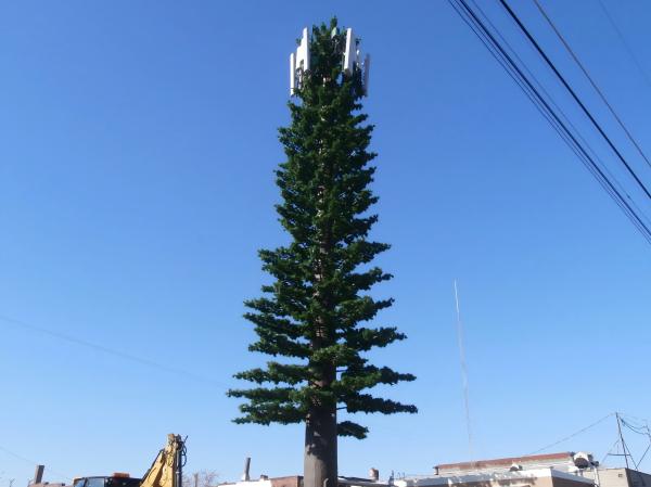 pine tree telecom tower