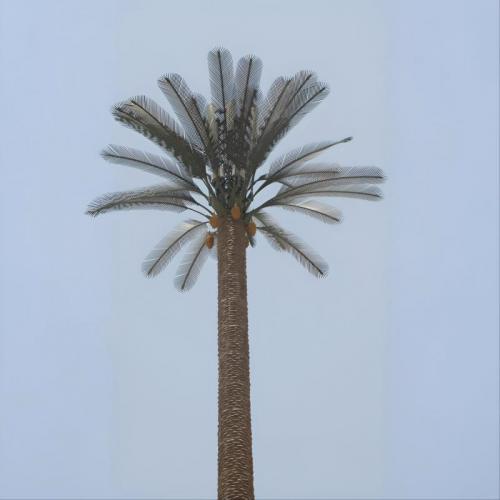 palm tree monopole tower
