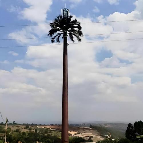Palm Tree Camouflage Cell Tower