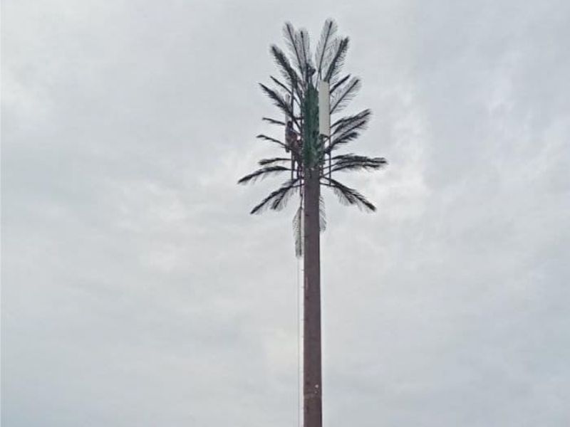 Camouflaged Palm Tree Tower Exporting to Fiji