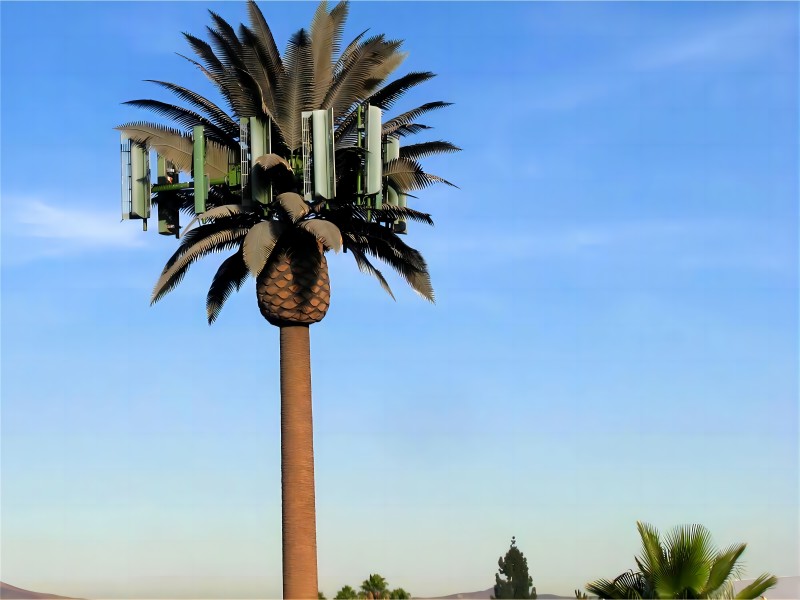 Camouflaged Palm Tree Tower in Oman
