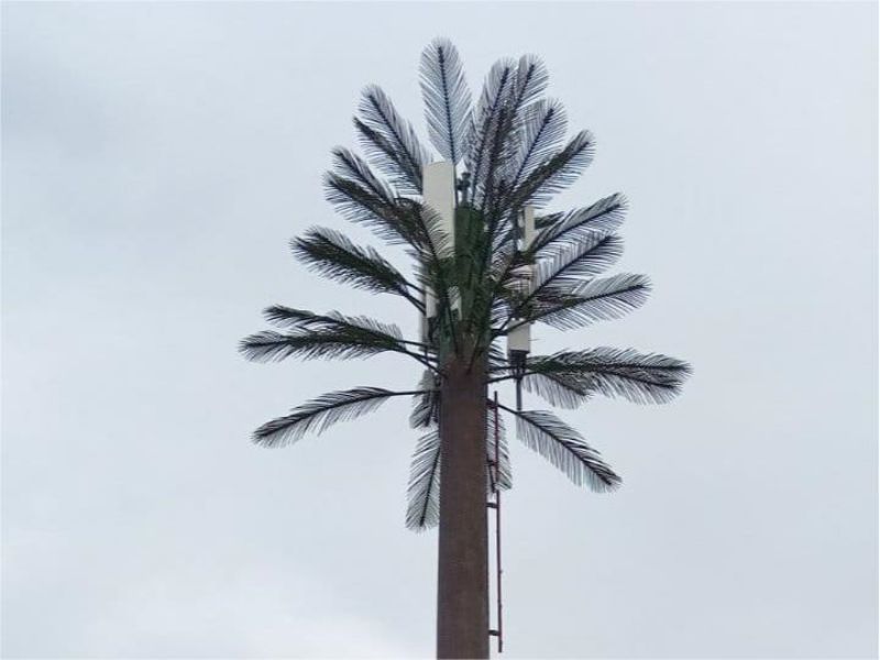 Camouflaged Palm Tree Tower Exporting to Fiji