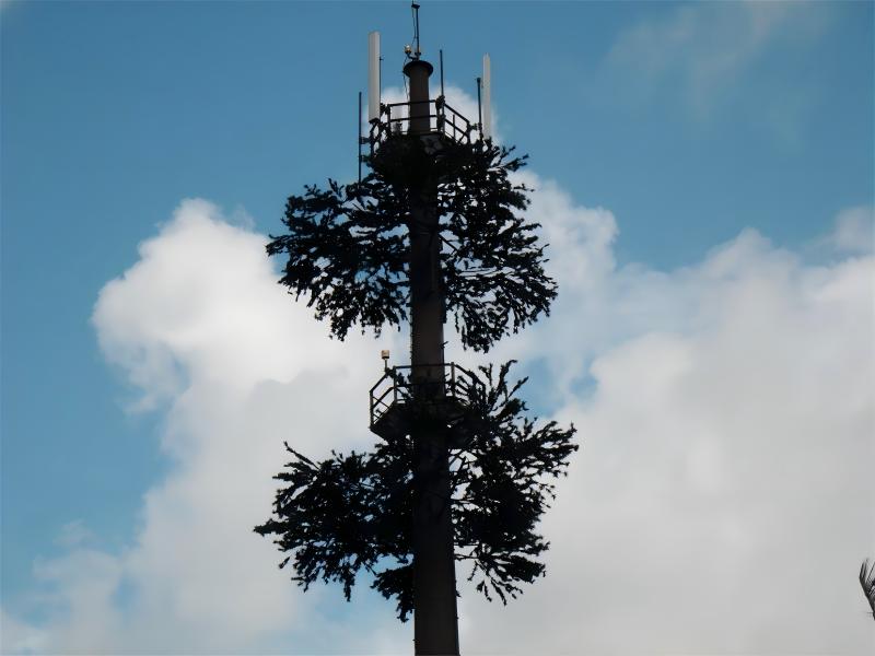 Bionic Camouflaged Pine Tree Telecom Tower in USA