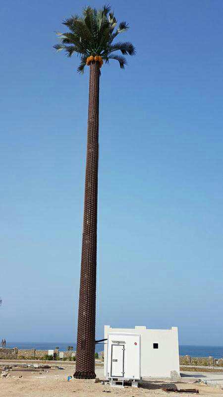 Camouflaged Palm Tree Tower in Oman