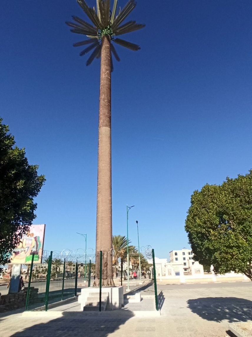 Camouflaged Palm Tree Tower in Oman